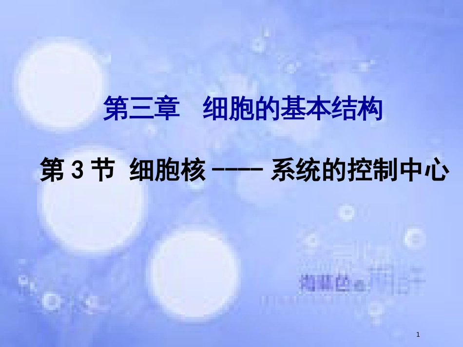 高中生物 第三章 细胞的基本结构 3.3 细胞核-系统的控制中心课件1 新人教版必修1_第1页