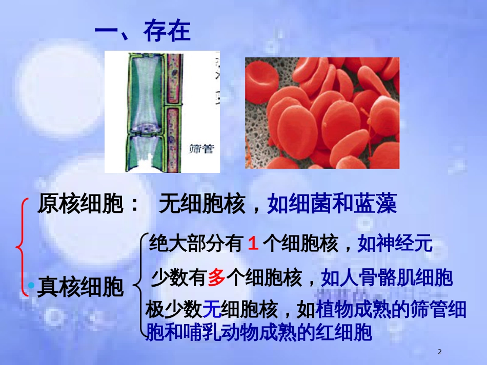 高中生物 第三章 细胞的基本结构 3.3 细胞核-系统的控制中心课件1 新人教版必修1_第2页
