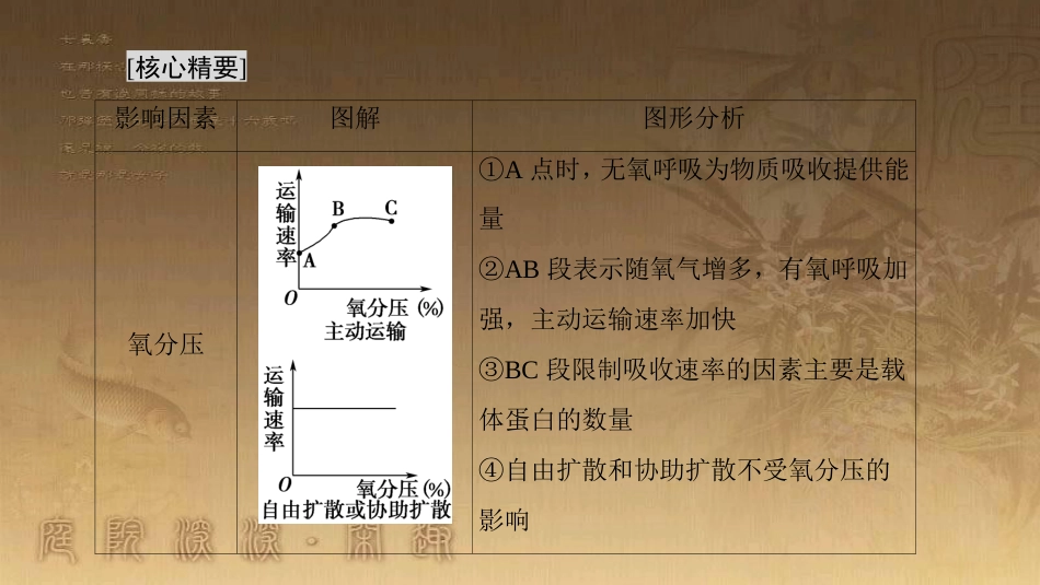 高中生物 第四章 细胞的物质输入和输出 微专题突破1 外界因素对物质跨膜运输影响的曲线分析优质课件 新人教版必修1_第2页