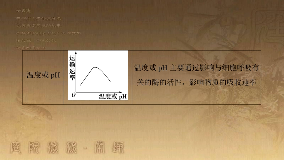 高中生物 第四章 细胞的物质输入和输出 微专题突破1 外界因素对物质跨膜运输影响的曲线分析优质课件 新人教版必修1_第3页