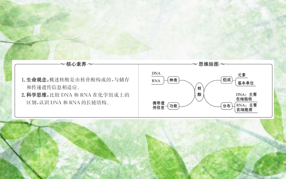 高中生物 第二章 组成细胞的分子 2.3 遗传信息的携带者——核酸优质课件 新人教版必修1_第2页