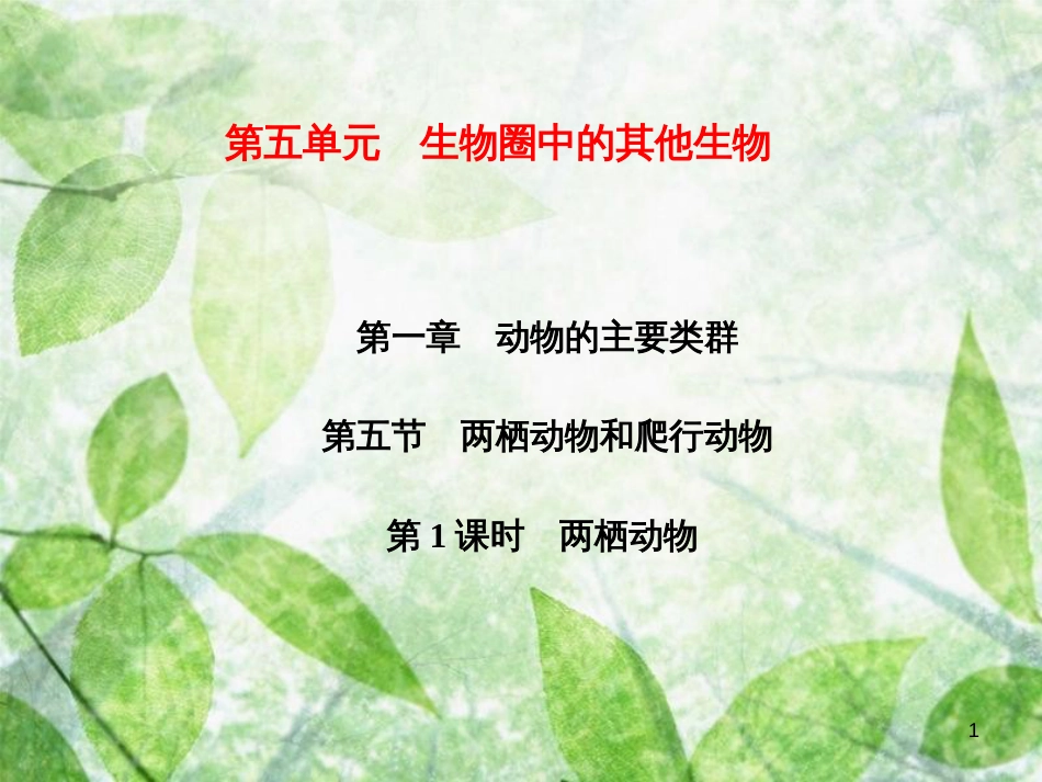 八年级生物上册 第5单元 第1章 第5节 两栖动物和爬行动物（第1课时 两栖动物）习题优质课件 （新版）新人教版_第1页
