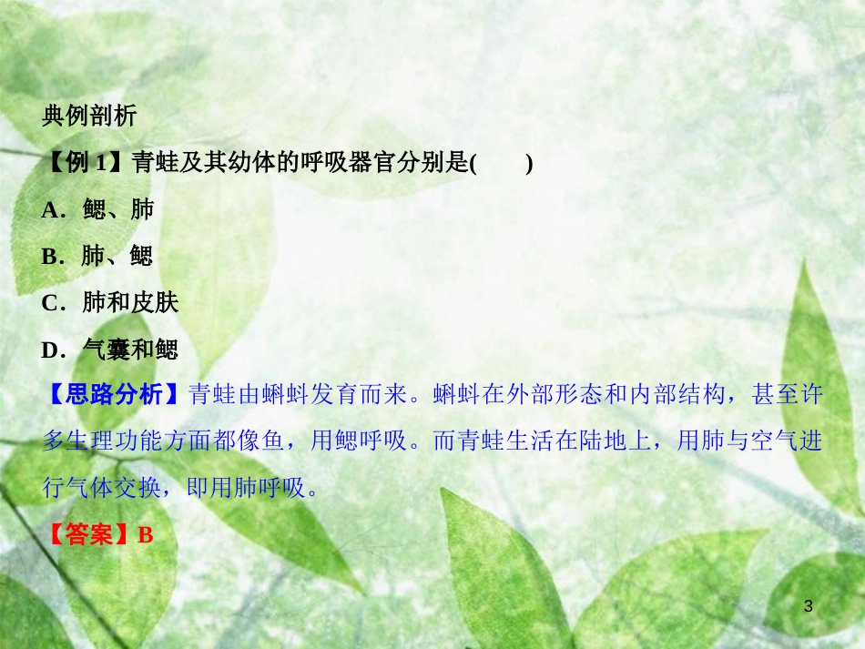 八年级生物上册 第5单元 第1章 第5节 两栖动物和爬行动物（第1课时 两栖动物）习题优质课件 （新版）新人教版_第3页