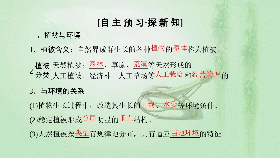 高中地理 第3单元 从圈层作用看地理环境内在规律 附4 主要植被同步优质课件 鲁教版必修1_第3页