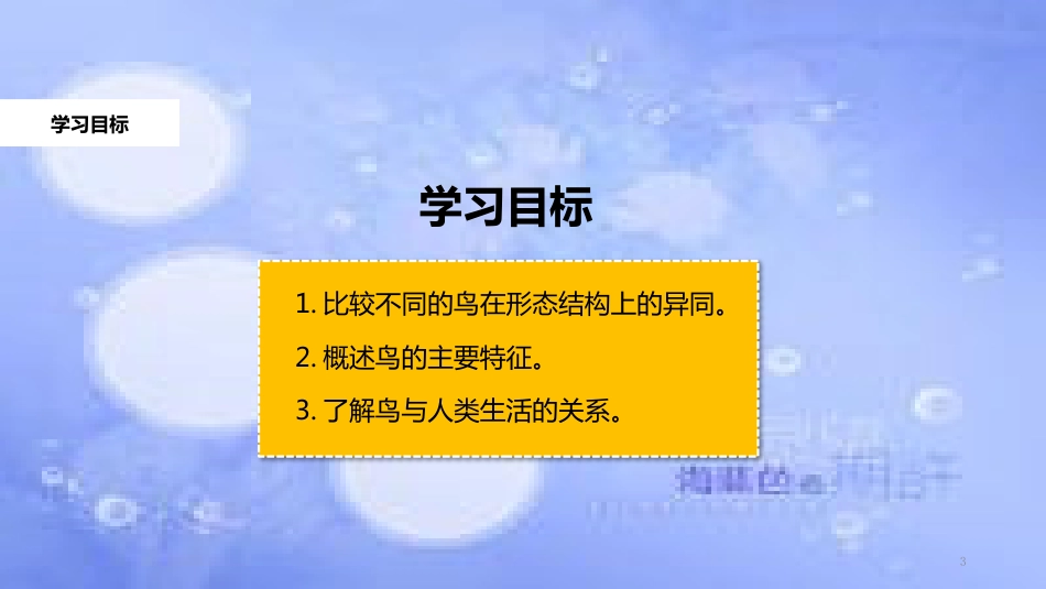 八年级生物上册 5.1.6《鸟》教学课件 （新版）新人教版_第3页