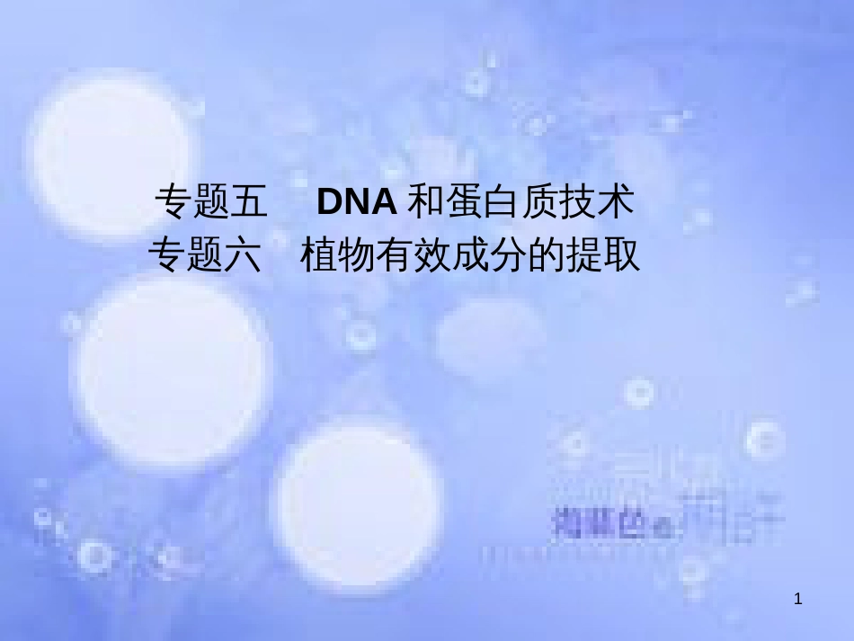 高三生物一轮复习 专题五 DNA和蛋白质技术 专题六 植物有效成分的提取课件 新人教版选修1_第1页