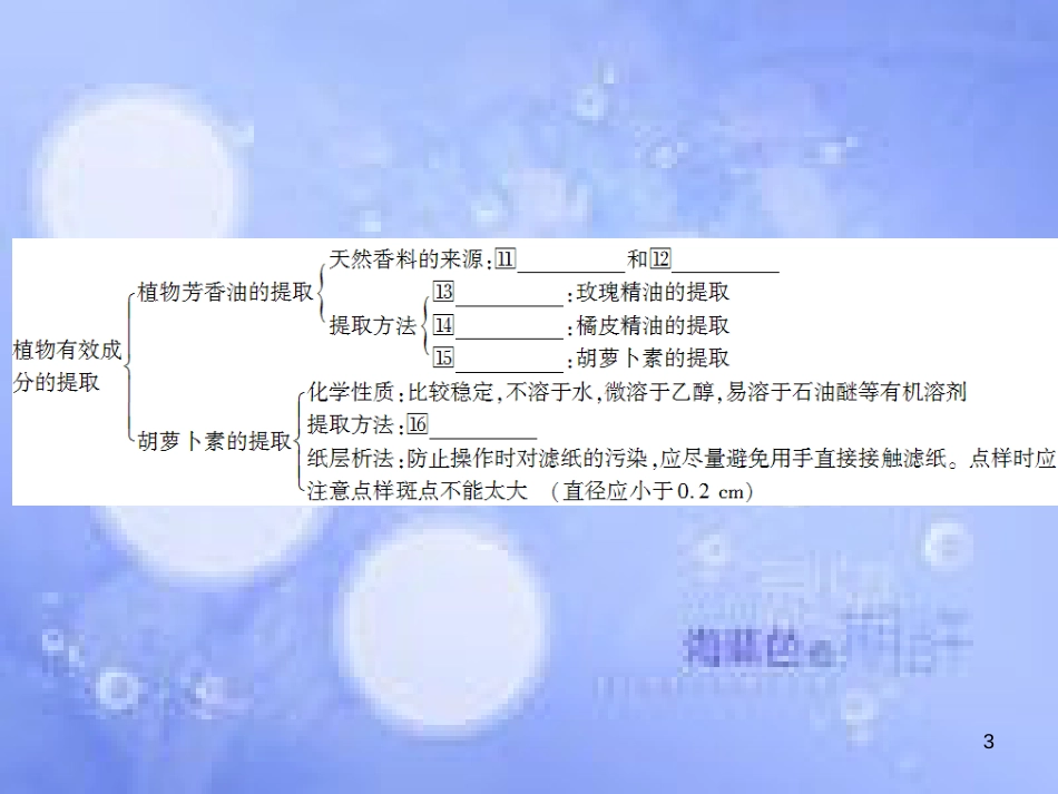 高三生物一轮复习 专题五 DNA和蛋白质技术 专题六 植物有效成分的提取课件 新人教版选修1_第3页