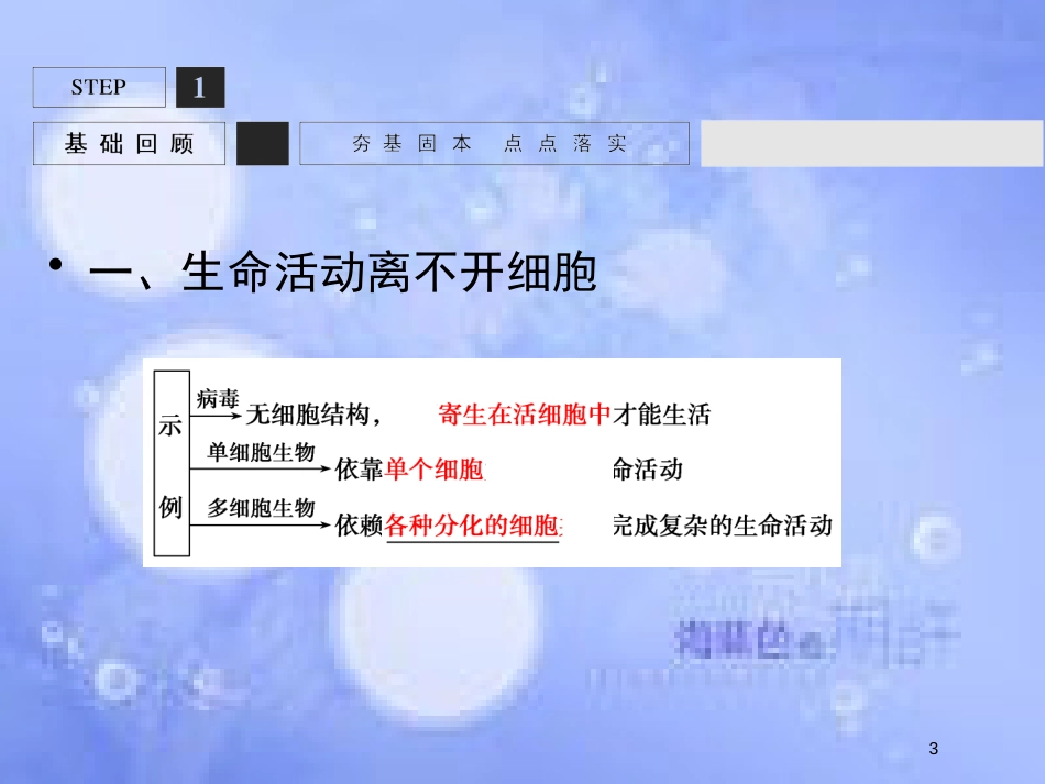 高考生物一轮复习 第2单元 细胞的基本结构与物质运输4课件 苏教版必修1_第3页