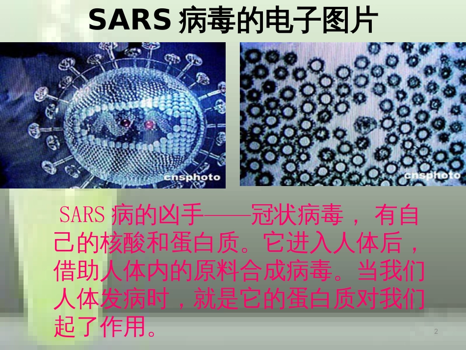 高中化学 第四章 生命中的基础有机化学物质 4.3.1 蛋白质和核酸优质课件 新人教版选修5_第2页