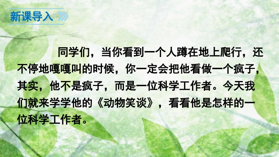 七年级语文上册 第五单元 17 动物笑谈优质课件 新人教版_第3页