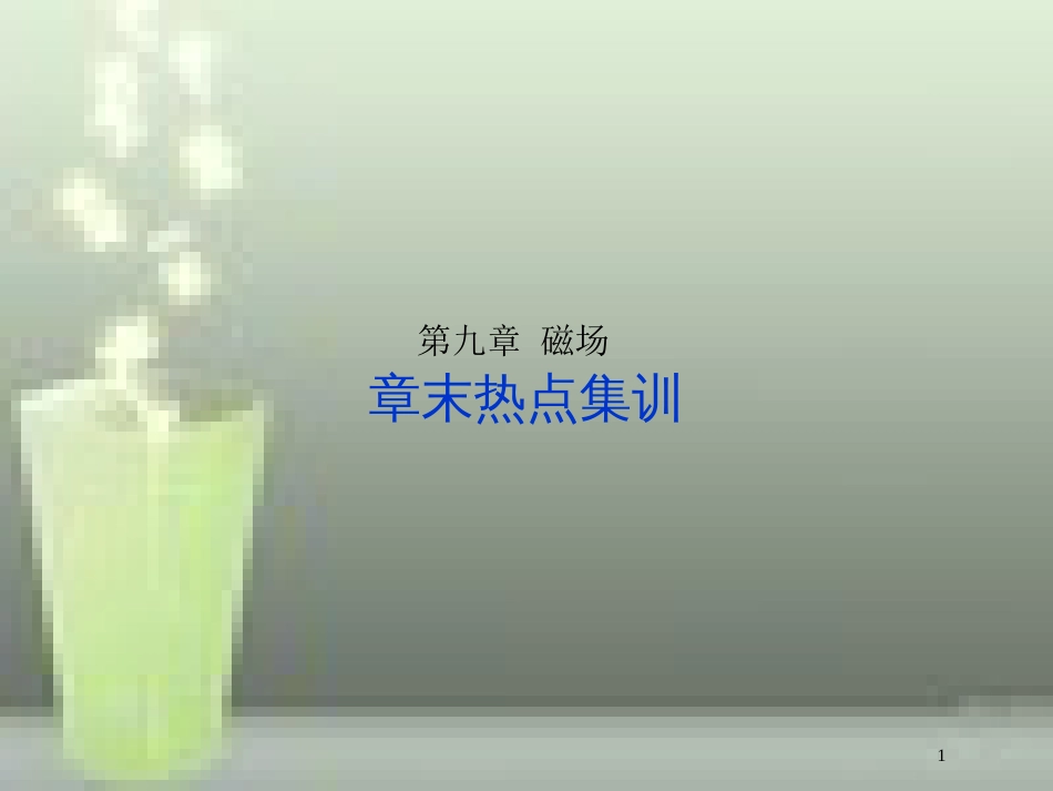 （新课标）高考物理一轮复习 第九章 磁场章末热点集训优质课件_第1页