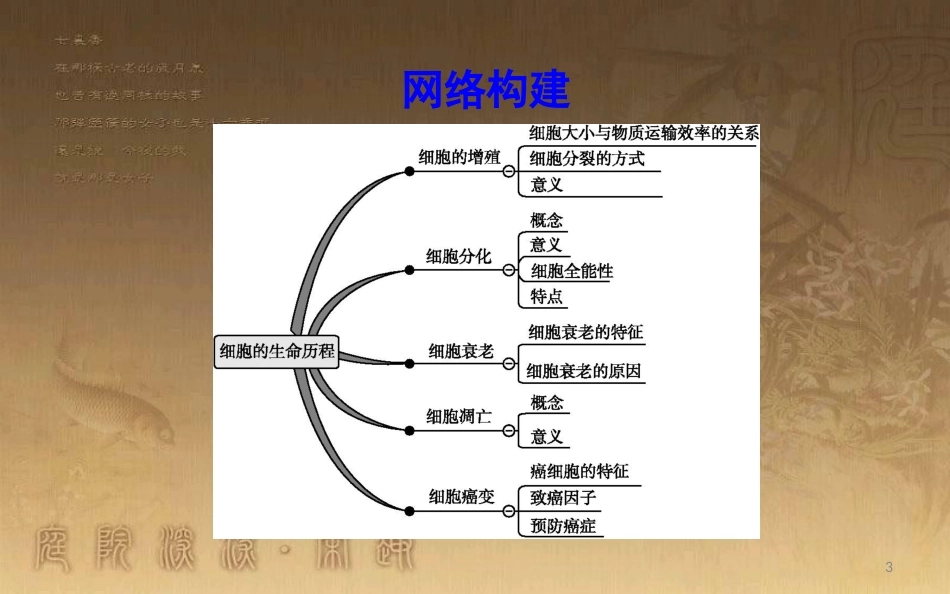 高中生物 第6章 细胞的生命历程章末整合优质课件 新人教版必修1_第3页