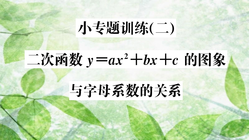 九年级数学上册 第二十二章 二次函数 小专题训练（二）二次函数y＝ax2＋bx＋c的图象与字母系数的关系习题优质课件 （新版）新人教版_第1页