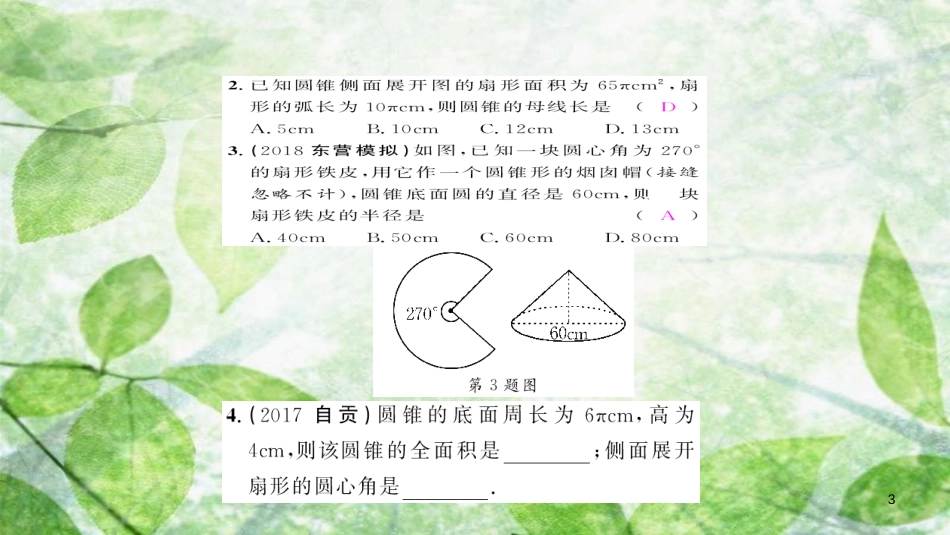 九年级数学上册 第二十四章 圆 24.4 弧长和扇形面积 第2课时 圆锥的侧面积和全面积习题优质课件 （新版）新人教版_第3页