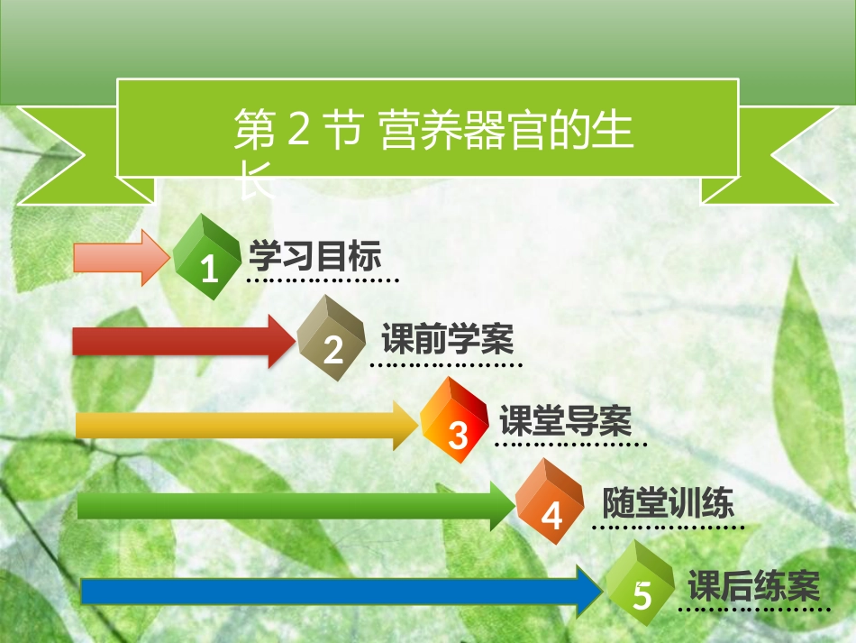 七年级生物上册 第三单元 第6章 第2节 营养器官的生长习题优质课件 （新版）北师大版_第2页