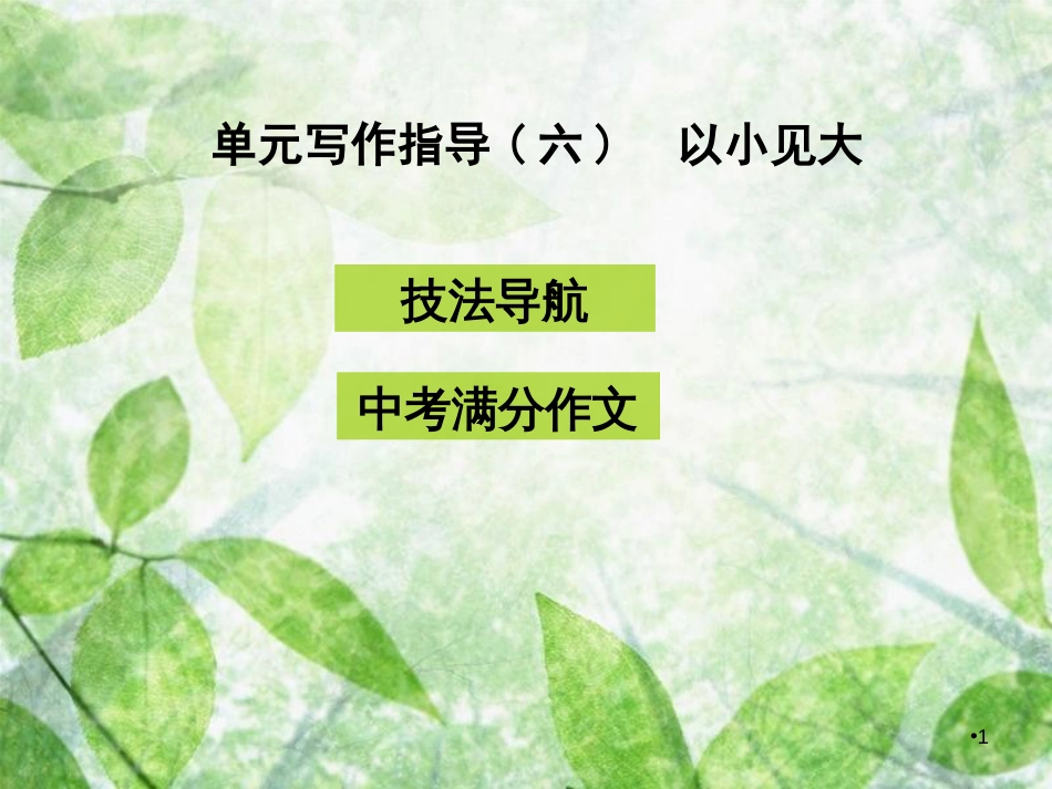 八年级语文上册 第六单元 写作指导 以小见大优质课件 新人教版_第1页