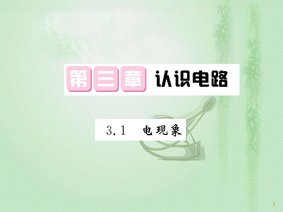 九年级物理上册 第3章 1 电现象习题优质课件 （新版）教科版_第1页