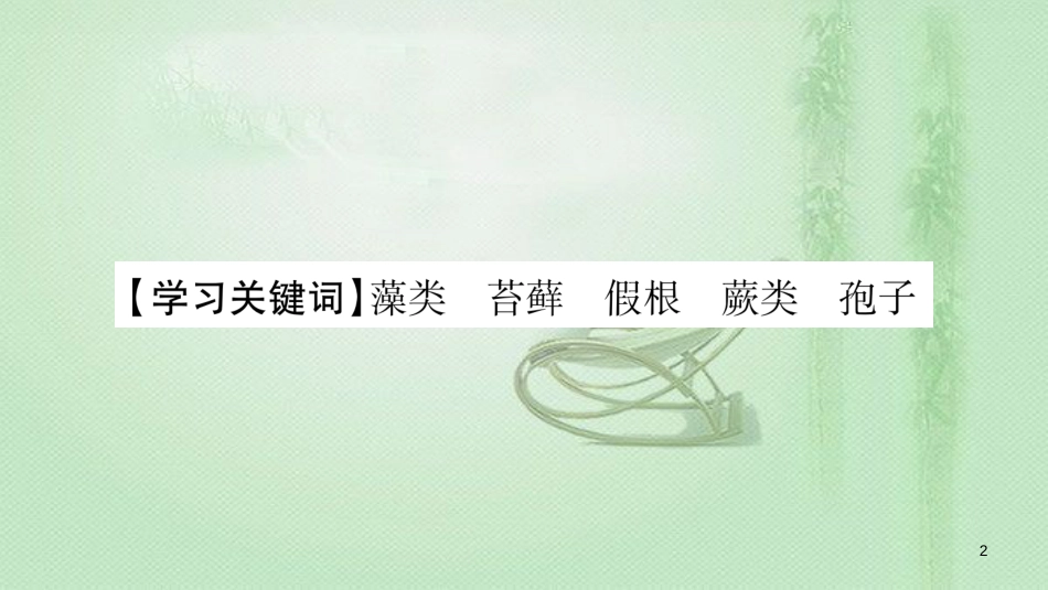 七年级生物上册 第3单元 第1章 第1节 藻类、苔藓和蕨类植物习题优质课件 （新版）新人教版_第2页
