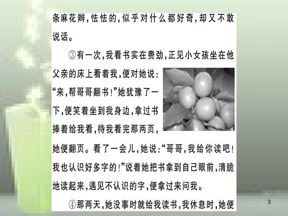 （武汉专用）八年级语文上册 专题七 记叙文阅读习题优质课件 新人教版_第3页