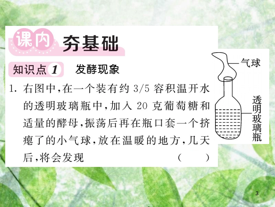 八年级生物上册 第五单元 第四章 第五节 人类对细菌和真菌的利用（第1课时 发酵及食品的制作）习题优质课件 （新版）新人教版_第3页