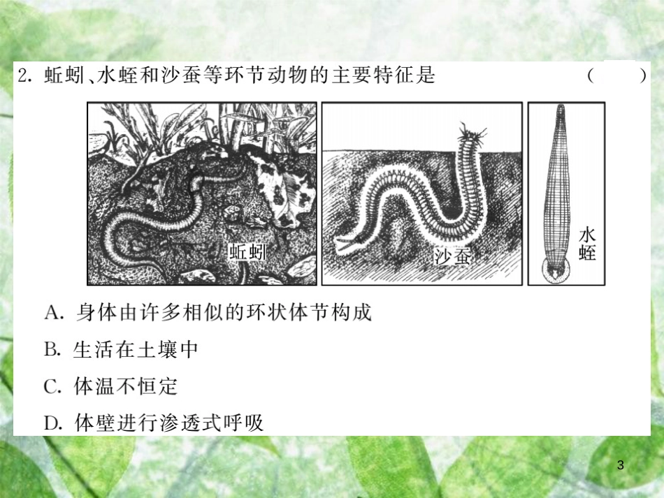 八年级生物上册 期中综合检测习题优质课件 （新版）新人教版_第3页