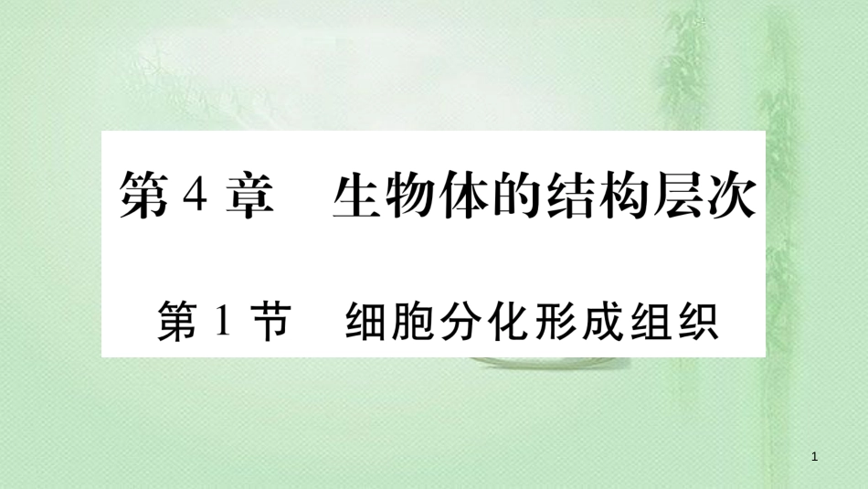 七年级生物上册 第二单元 第4章 第1节 细胞分化形成组织习题优质课件 （新版）北师大版 (2)_第1页