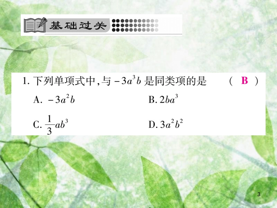 七年级数学上册 第3章 整式的加减 3.4.1 同类项优质课件 （新版）华东师大版_第3页