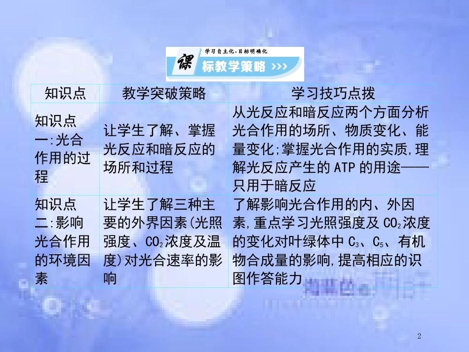 高中生物 第4单元 光合作用和细胞呼吸（第5课时）光合作用（二）课件 苏教版必修1_第2页