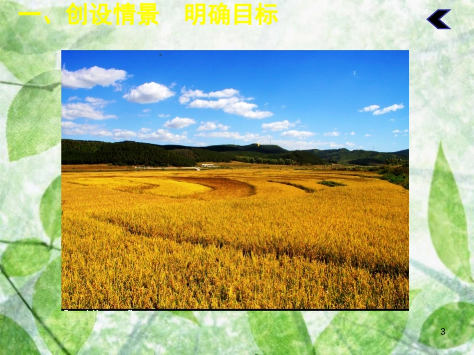 九年级化学下册 第十一单元 盐 化肥 课题2 化学肥料（第1课时）教学优质课件 （新版）新人教版_第3页
