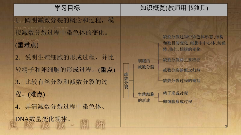 高中生物 第2章 减数分裂和有性生殖 第1节 减数分裂优质课件 苏教版必修2_第2页