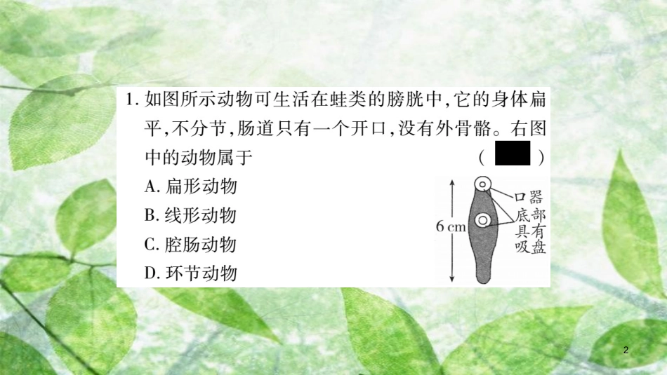 八年级生物上册 读图专项训练习题优质课件 （新版）新人教版_第2页