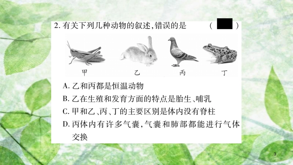 八年级生物上册 读图专项训练习题优质课件 （新版）新人教版_第3页