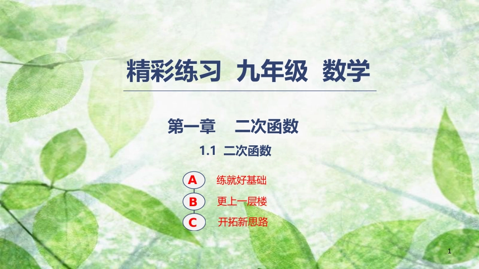 九年级数学上册 第一章 二次函数 1.1 二次函数优质课件 （新版）浙教版_第1页
