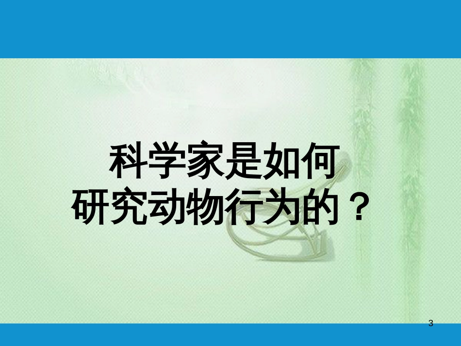 八年级生物上册 16.3动物行为的研究优质课件 （新版）北师大版_第3页