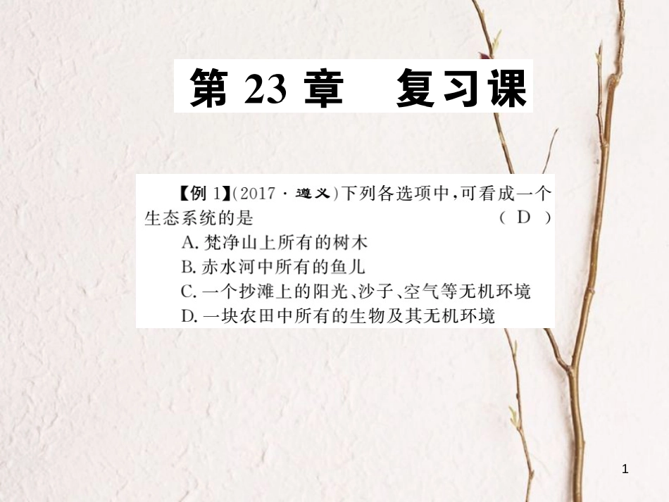 八年级生物下册 23 生态系统及其稳定性整理与复习课件 （新版）北师大版[共17页][共17页]_第1页