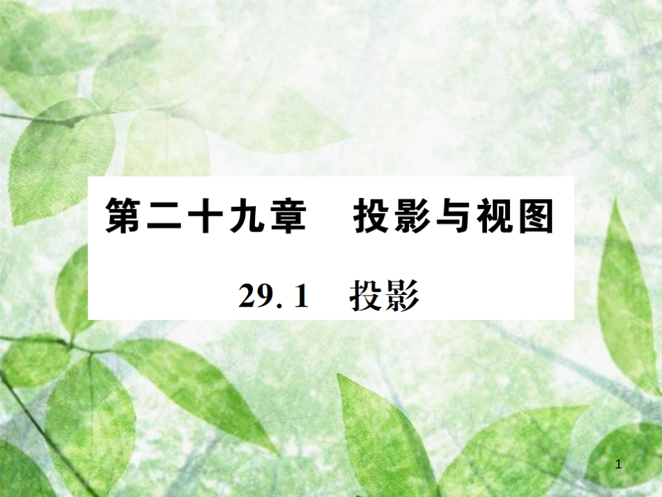 九年级数学下册 第二十九章 投影与视图 29.1 投影习题优质课件 （新版）新人教版_第1页