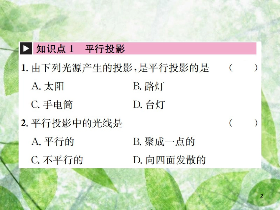 九年级数学下册 第二十九章 投影与视图 29.1 投影习题优质课件 （新版）新人教版_第2页