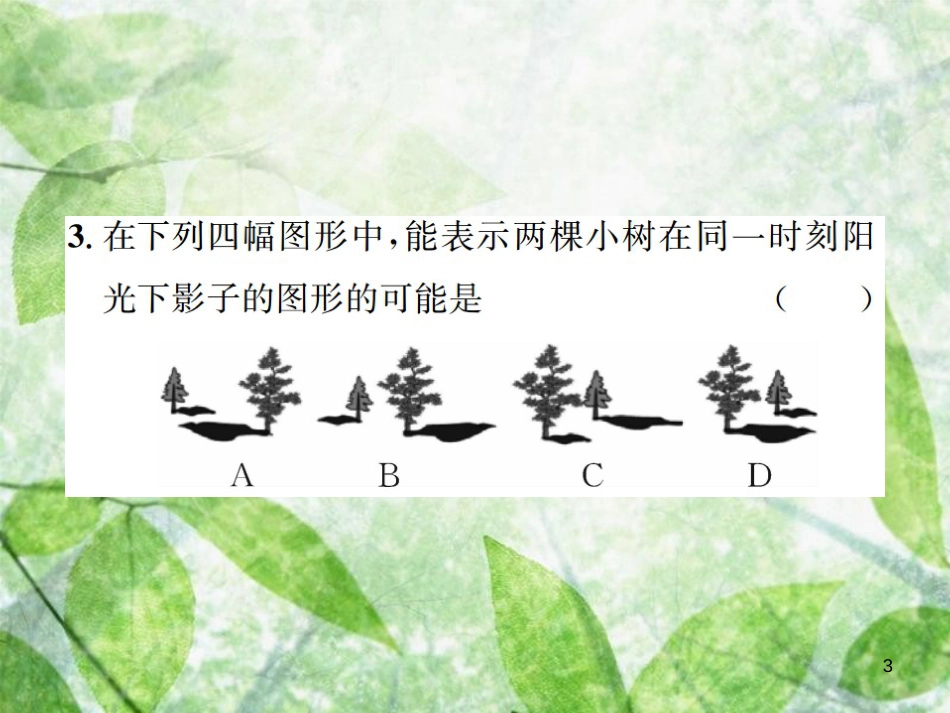 九年级数学下册 第二十九章 投影与视图 29.1 投影习题优质课件 （新版）新人教版_第3页