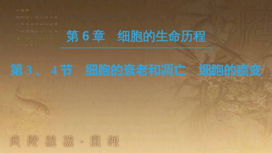 高中生物 第六章 细胞的生命历程 第3、4节 细胞的衰老和凋亡 细胞的癌变优质课件 新人教版必修1_第1页