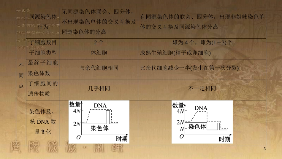 高中生物 第2章 减数分裂和有性生殖 微专题突破 有丝分裂与减数分裂的比较优质课件 苏教版必修2_第3页