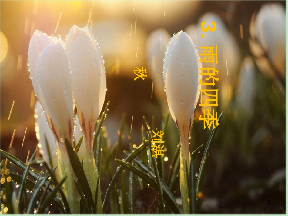 tbeAAA2018年七年级语文上册 第一单元 3 雨的四季优质课件 新人教版_第1页