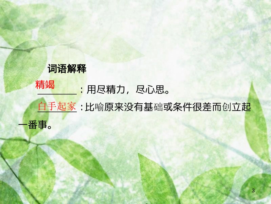八年级语文上册 第一单元 4 一着惊海天——目击我国航母舰载战斗机首架次成功着舰优质课件 新人教版[共28页]_第3页