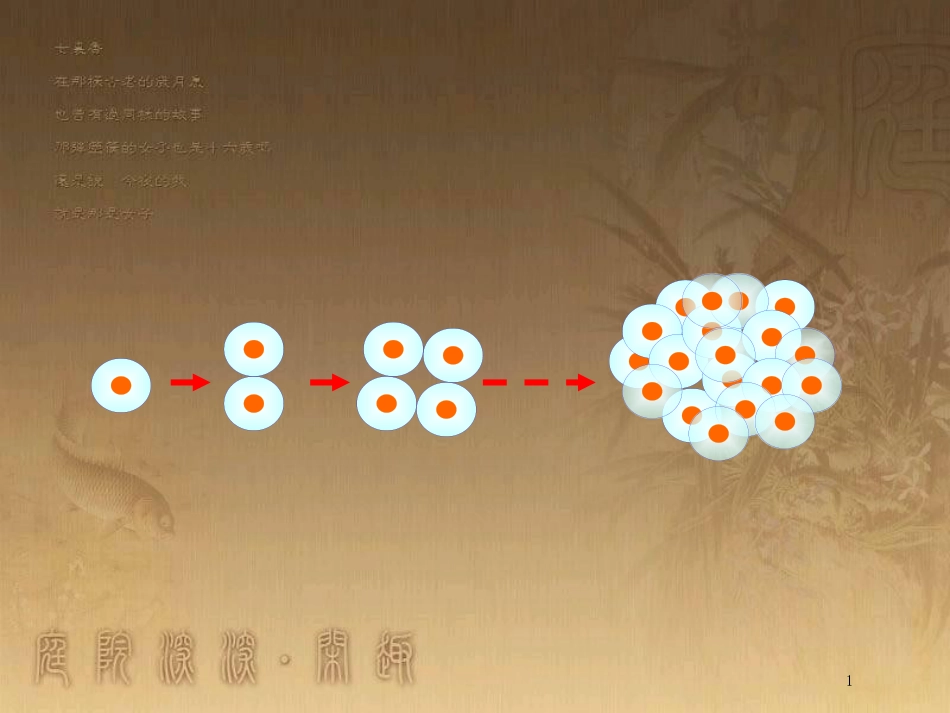 高中生物 专题6.1 细胞的增殖优质课件 新人教版必修1_第1页