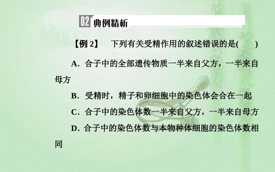 高中生物学业水平复习 专题六 遗传的细胞基础考点2 受精过程优质课件_第3页
