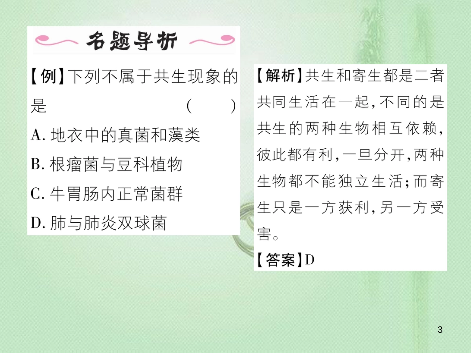 八年级生物上册 第五单元 第4章 第四节 细菌和真菌在自然界中的作用优质课件 （新版）新人教版_第3页