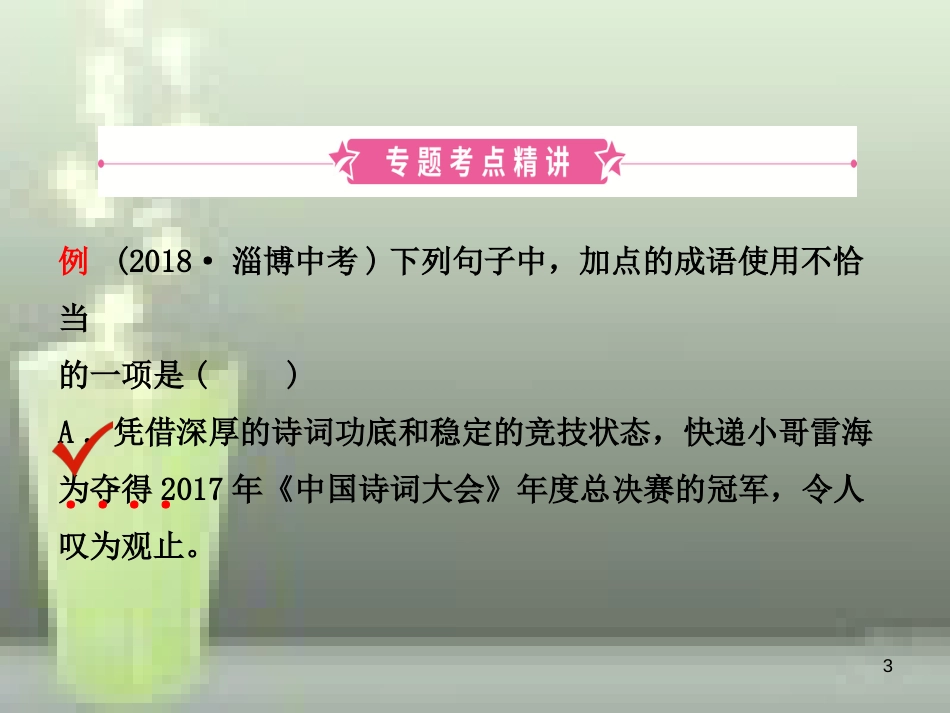 （淄博专版）2019届中考语文 专题二 成语(含俗语)理解与运用优质课件_第3页