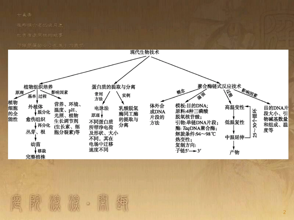 高中生物 第4章 现代生物技术本章整合优质课件 北师大版选修1_第2页