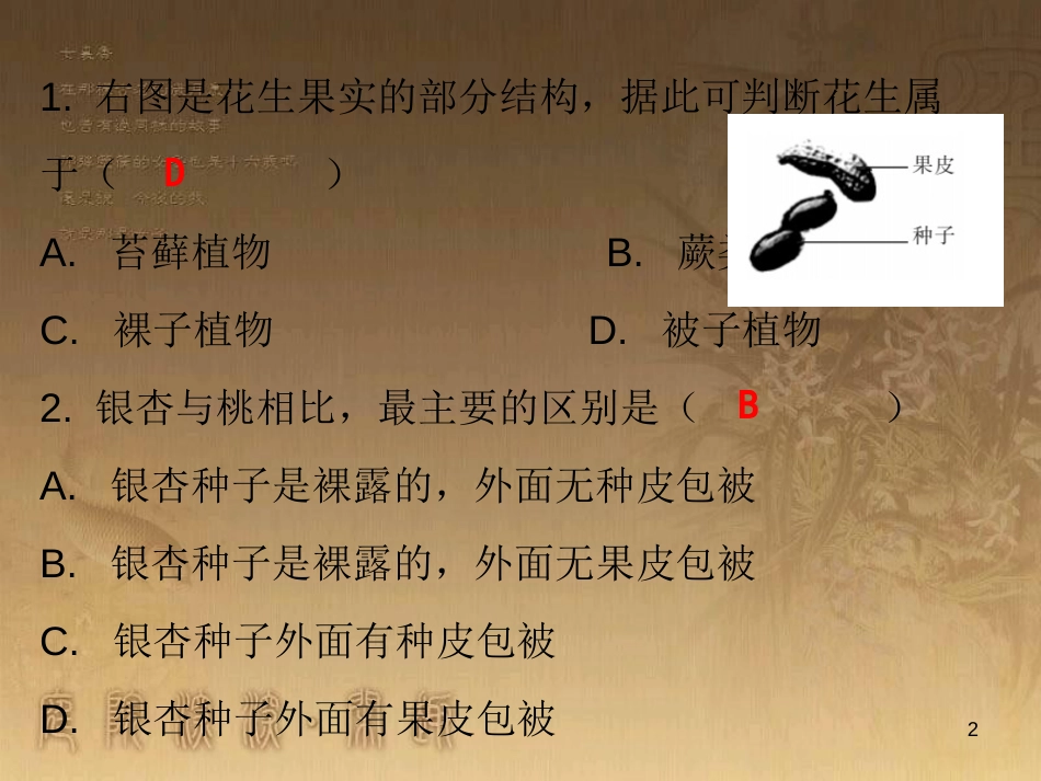 七年级生物上册 第三单元 第一章 第二节 种子植物课堂十分钟优质课件 (新版)新人教版_第2页