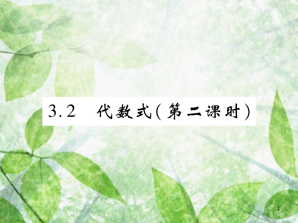 七年级数学上册 第三章 整式及其加减 3.2 代数式（第2课时）练习优质课件 （新版）北师大版_第1页