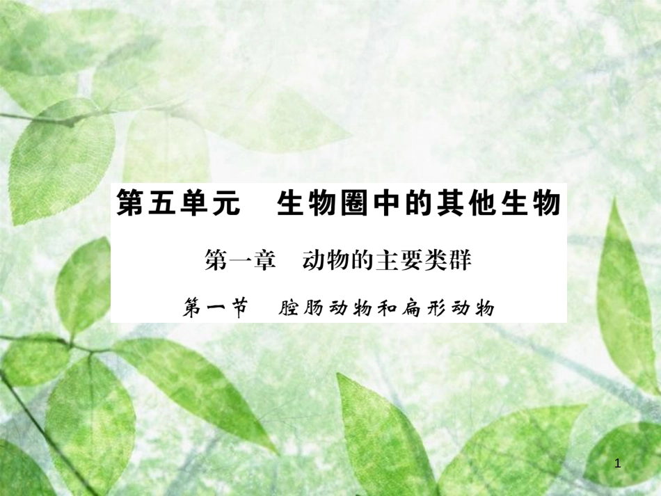 八年级生物上册 第五单元 第1章 第1节 腔肠动物和扁形动物习题优质课件 （新版）新人教版_第1页